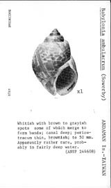 Click to enlarge