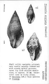 Click to enlarge