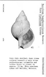 Click to enlarge