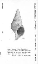 Click to enlarge