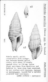 Click to enlarge