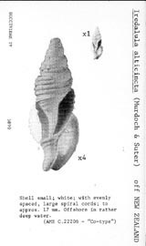 Click to enlarge