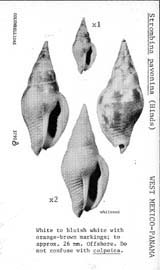 Click to enlarge