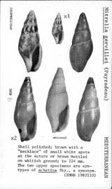Click to enlarge