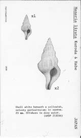 Click to enlarge