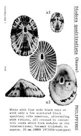 Click to enlarge