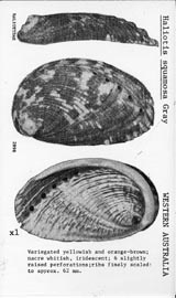 Click to enlarge