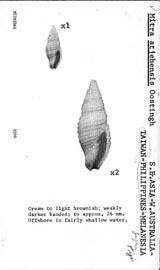 Click to enlarge