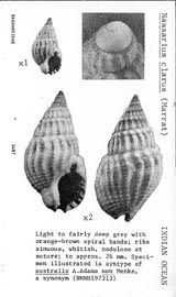 Click to enlarge