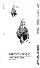 Click to enlarge