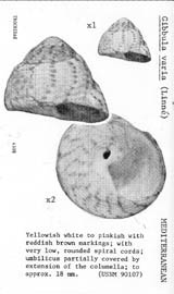 Click to enlarge