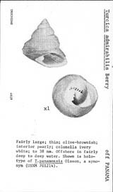Click to enlarge