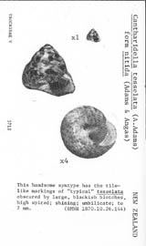 Click to enlarge