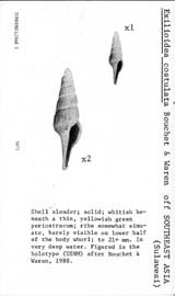 Click to enlarge