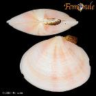 enlarge photo